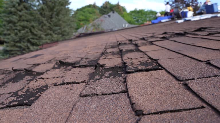 Best Roofing for New Construction  in Bridgetown, OH