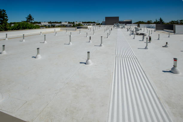 Best Roof Coating and Sealing  in Bridgetown, OH